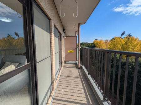 _ސ쌧ˎs匴̒Ã}ṼoRj[