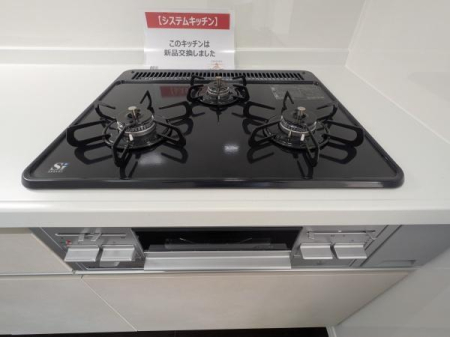 _ސ쌧ˎs匴̒Ã}V̉摜