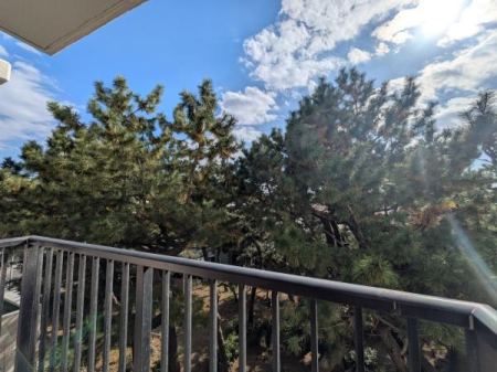 �_�ސ쌧���ˎs俕��̒��Ã}���V�����̏Z�˂���̒��]�ʐ^