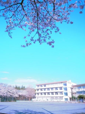 _ސ쌧cs|̓yn̎ӊ