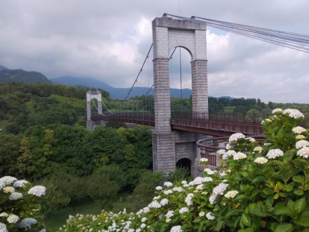 _ސ쌧`s̒ÈˌĂ̎ӊ