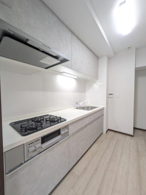 _ސ쌧ˎs̒Ã}ṼLb`