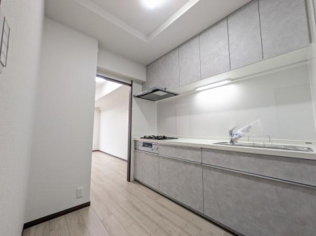 _ސ쌧ˎs̒Ã}ṼLb`