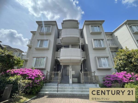 _ސ쌧`sߊ4ڂ̒Ã}V̌nOώʐ^