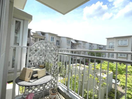 _ސ쌧`sߊ4ڂ̒Ã}ṼoRj[