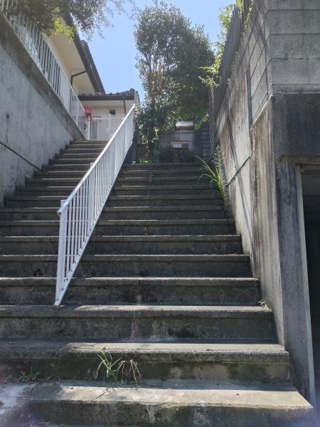 �_�ސ쌧���c���s���|�̒��È�ˌ��Ă̂��̑����n