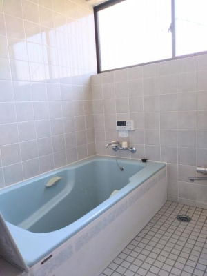 �_�ސ쌧���c���s���|�̒��È�ˌ��Ă̗���