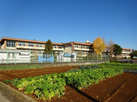 �_�ސ쌧���c���s���|�̒��È�ˌ��Ă̎��ӊ�