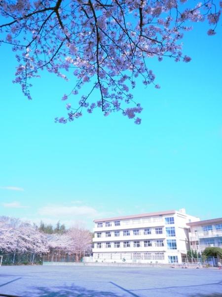 �_�ސ쌧���c���s���|�̒��È�ˌ��Ă̎��ӊ�