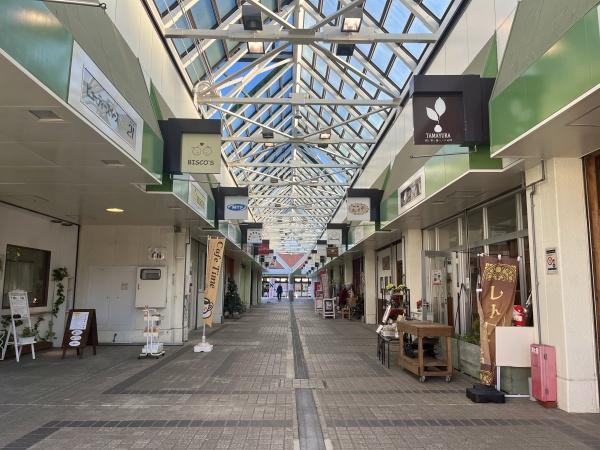 �_�ސ쌧���c���s���|�̒��È�ˌ��Ă̎��ӊ�