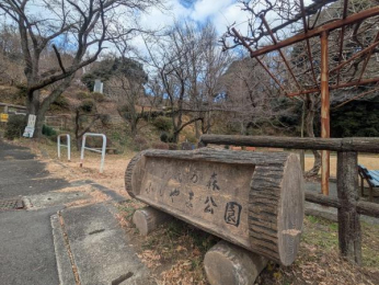 �_�ސ쌧�ɐ����s�˂̒��Ã}���V�����̎��ӊ�