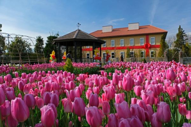 �_�ސ쌧�ɐ����s�˂̒��Ã}���V�����̎��ӊ�