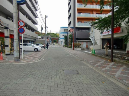 �_�ސ쌧���ˎs���Β��̒��Ã}���V�����̂��̑����n