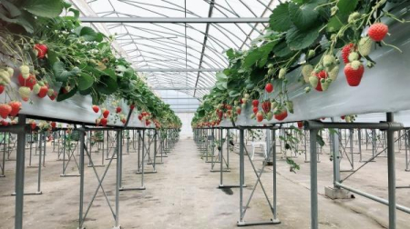 �_�ސ쌧�`��s�ː�̒��È�ˌ��Ă̎��ӊ�