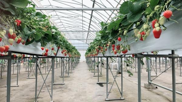 �_�ސ쌧�`��s�ː�̒��È�ˌ��Ă̎��ӊ�