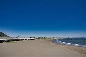 �_�ސ쌧���S��钬���̒��È�ˌ��Ă̎��ӊ�