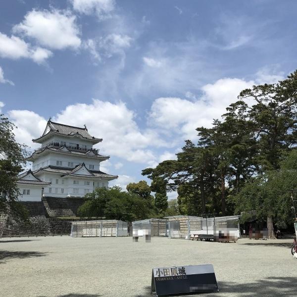 �_�ސ쌧���c���s����1���ڂ̒��Ã}���V�����̎��ӊ�