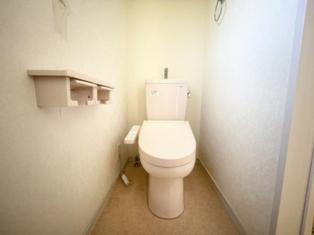 �_�ސ쌧���؎s�юR��1���ڂ̒��È�ˌ��Ẵg�C��