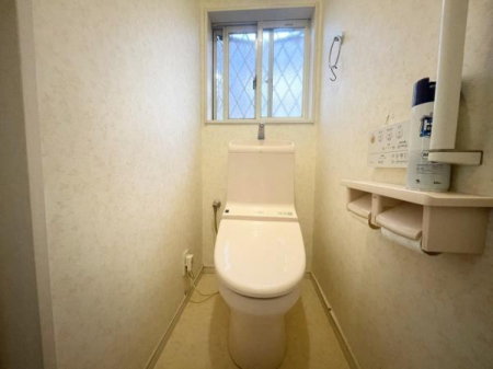 �_�ސ쌧���؎s�юR��1���ڂ̒��È�ˌ��Ẵg�C��