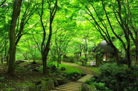 �_�ސ쌧���؎s�юR��1���ڂ̒��È�ˌ��Ă̎��ӊ�