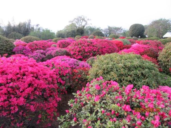 �_�ސ쌧�ɐ����s����̐V�z��ˌ��Ă̎��ӊ�