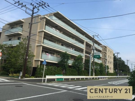 �_�ސ쌧���ˎs���P�l�̒��Ã}���V�����̌��n�O�ώʐ^