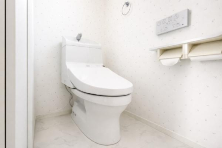 �_�ސ쌧���c���s�ѐ�̒��È�ˌ��Ẵg�C��