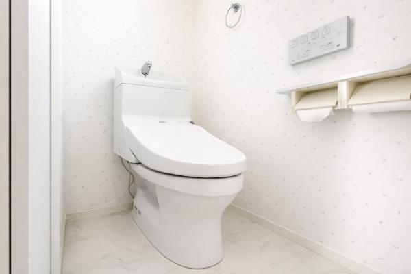 �_�ސ쌧���c���s�ѐ�̒��È�ˌ��Ẵg�C��