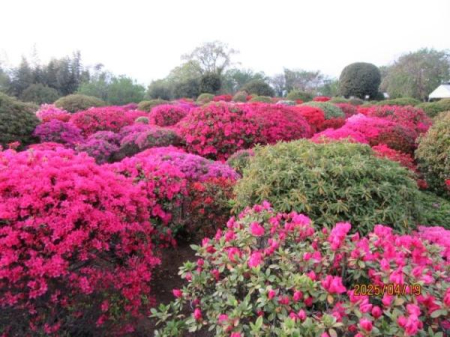 �_�ސ쌧�ɐ����s����̐V�z��ˌ��Ă̎��ӊ�