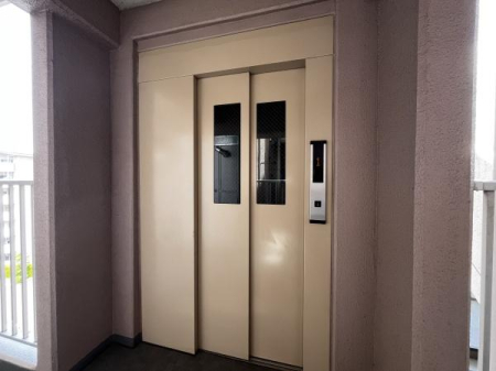 �_�ސ쌧�ɐ����s�������̒��Ã}���V�����̂��̑����p��