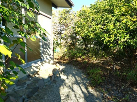 �_�ސ쌧���c���s�ѓc�� 392��3�̒��È�ˌ��Ă̒�