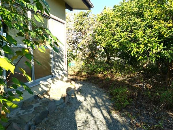 �_�ސ쌧���c���s�ѓc�� 392��3�̒��È�ˌ��Ă̒�