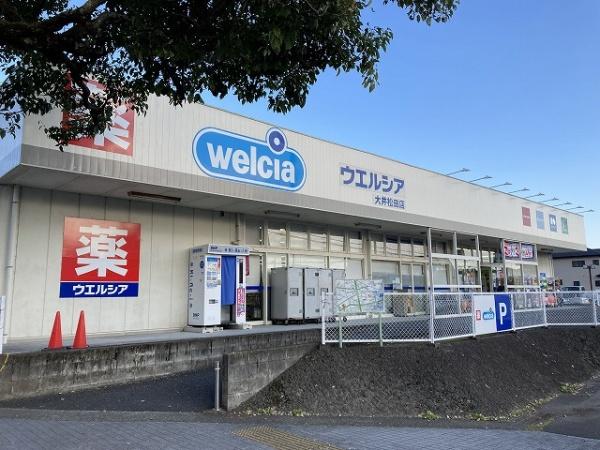 �_�ސ쌧������S��䒬���q�̓y�n�̎��ӊ�