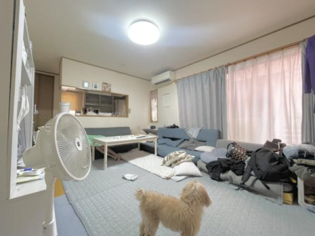 �_�ސ쌧�`��s�a��̒��È�ˌ��Ẵ��r���O
