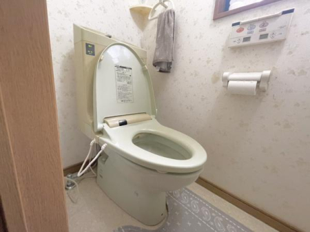 �_�ސ쌧�`��s�a��̒��È�ˌ��Ẵg�C��