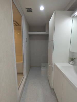 �_�ސ쌧���ˎs�匴�̒��Ã}���V�����̐��ʑ�E���ʏ�