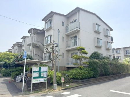 _ސ쌧`sߊ4ڂ̒Ã}V̌nOώʐ^